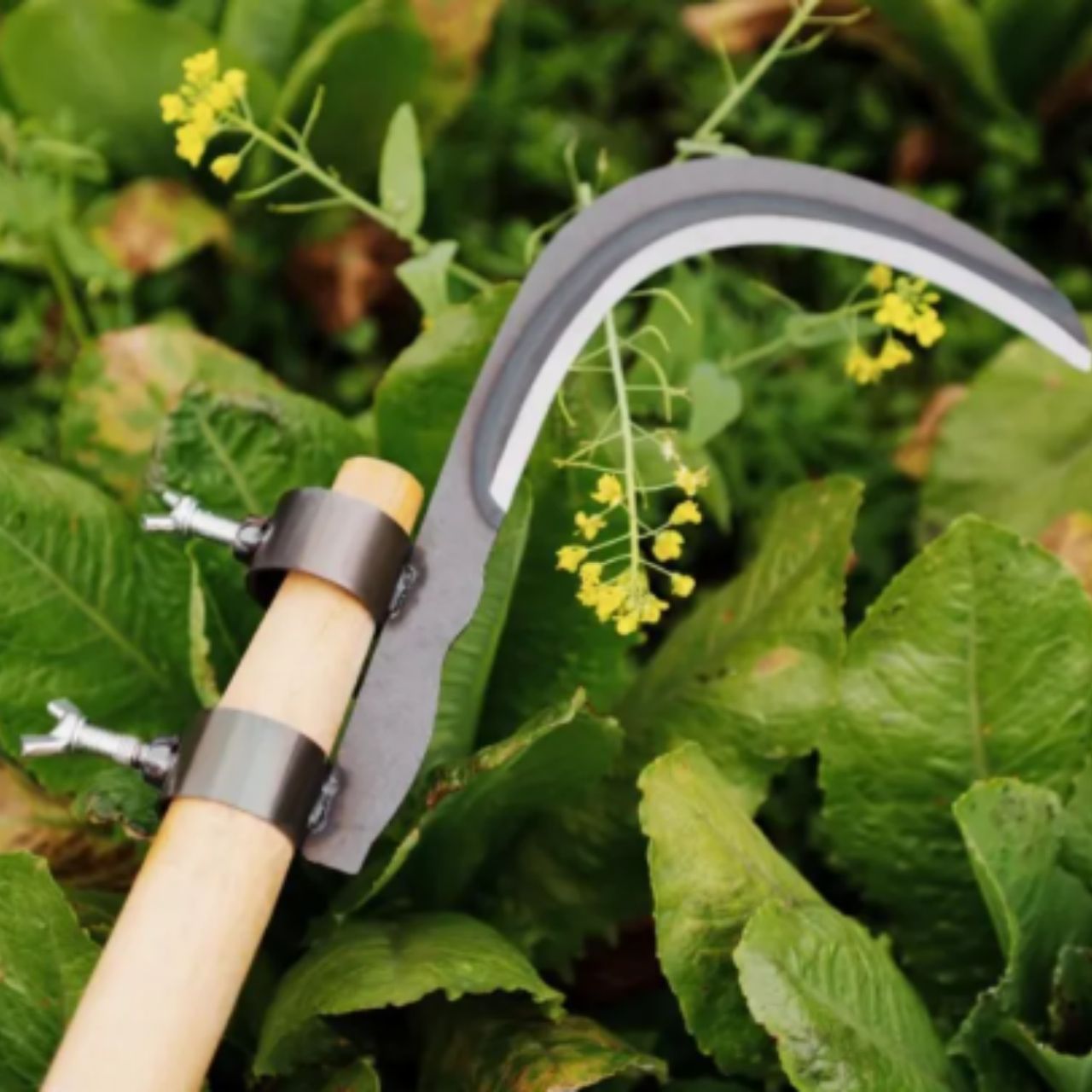 AgroTool, Tăietor de Crengi, Buruieni, Spini și Vegetație - Image 9