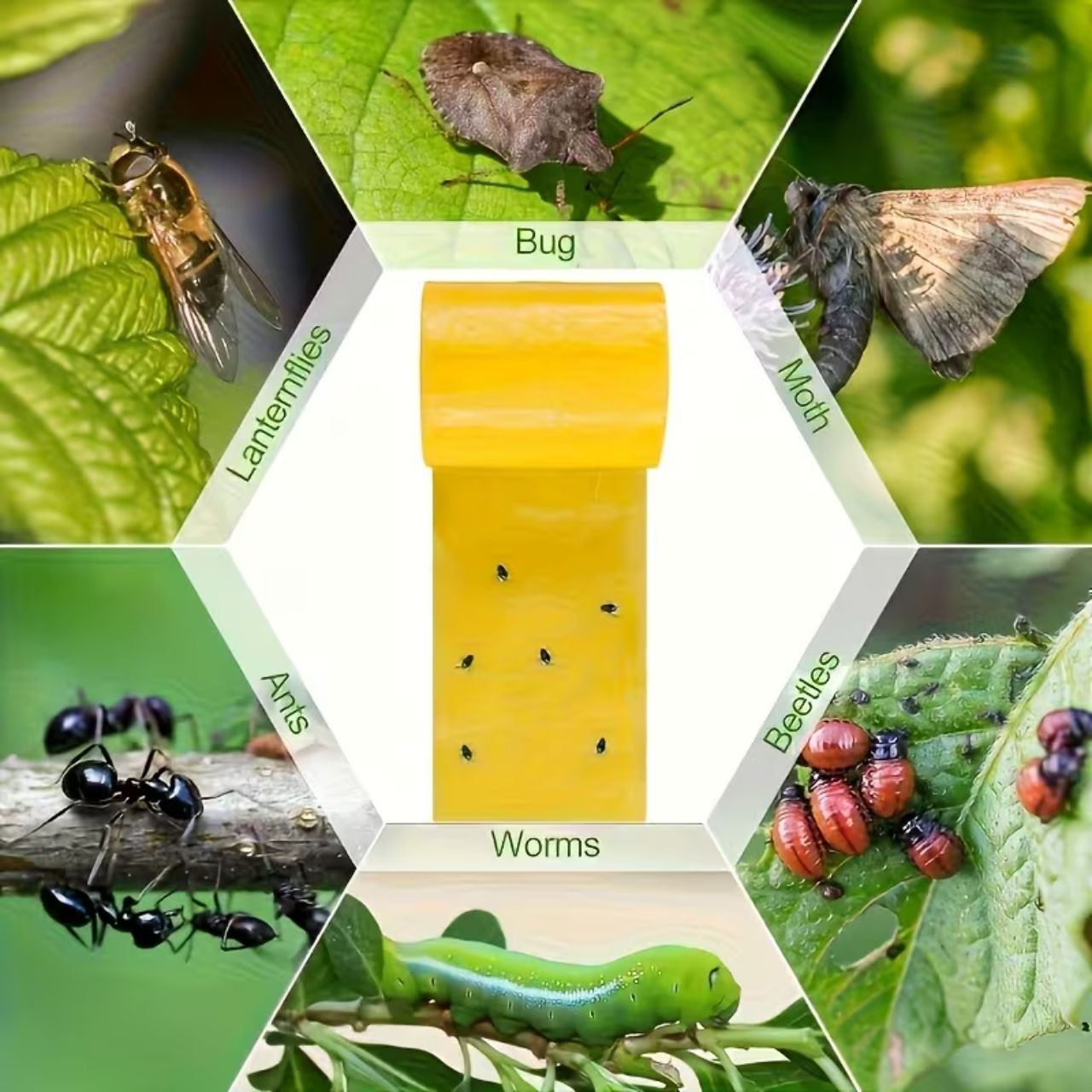 BarrierTape, bandă adezivă pentru prinderea insectelor - Image 1