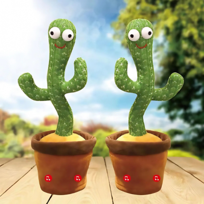 CACTUS, Cactus dansator - Image 3
