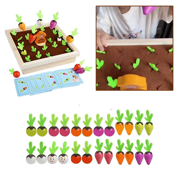 MORCOV, Joc de memorie CarrotFun - video