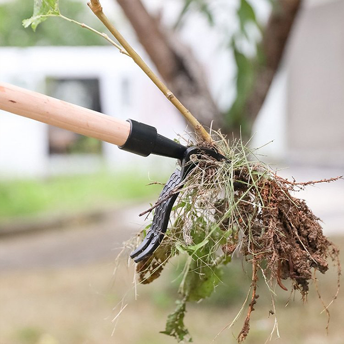 ClawWeeder, un instrument pentru îndepărtarea buruienilor împreună cu rădăcinile - în timp ce stați în picioare! - Image 5