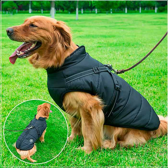DogJacket, haină de iarnă reflectorizantă și impermeabilă pentru câini - Image 10