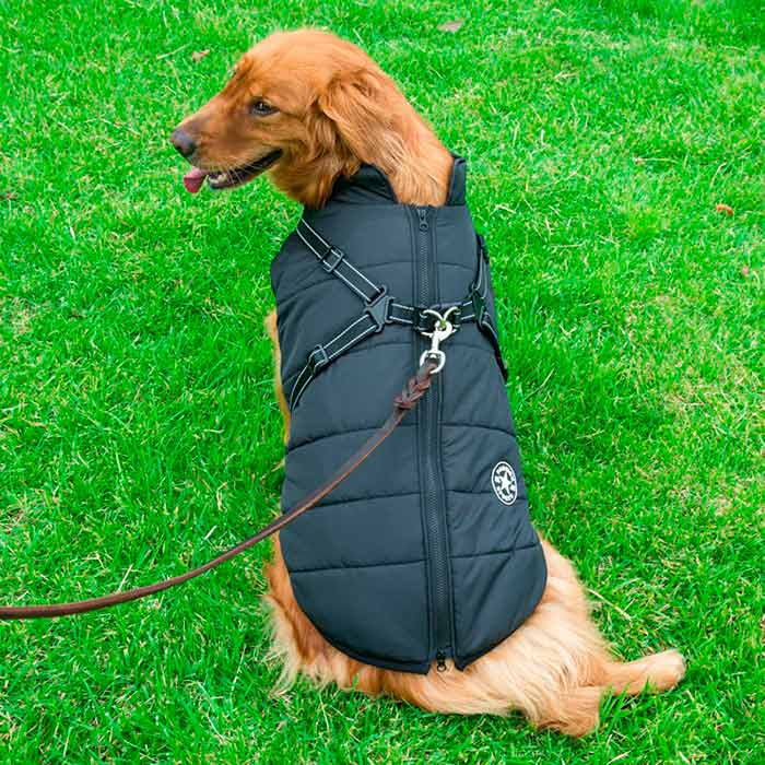 DogJacket, haină de iarnă reflectorizantă și impermeabilă pentru câini - Image 11