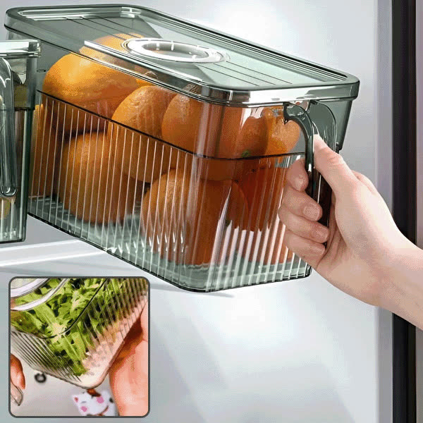 ORGADISH-TST, Organizator transparent pentru alimente - video