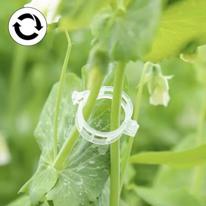 PLANTCLIP, GreenGrow Suport pentru Plante - 60 Clipsuri - Image 4
