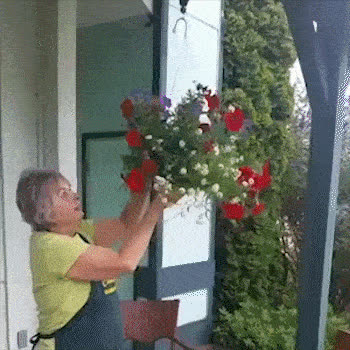PULLEY, Cârlig pentru suspendarea plantelor - video