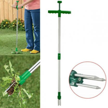 ROOTPULL, Îndepărtător de rădăcini din oțel inoxidabil - Image 1