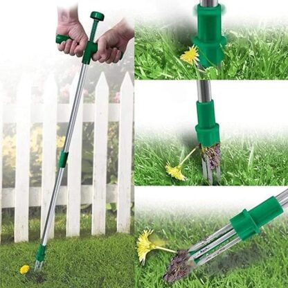 ROOTPULL, Îndepărtător de rădăcini din oțel inoxidabil - Image 2