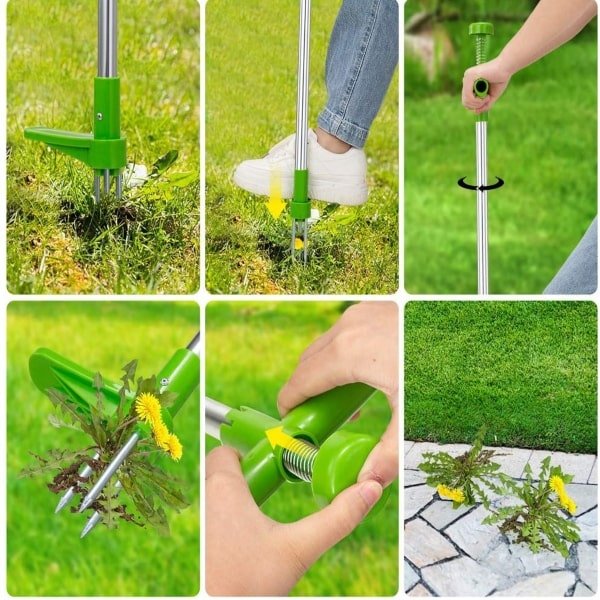 ROOTPULL, Îndepărtător de rădăcini din oțel inoxidabil - Image 6