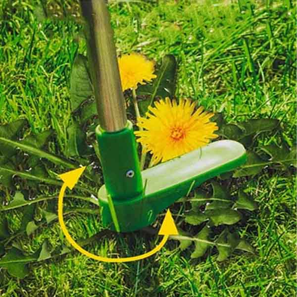ROOTPULL, Îndepărtător de rădăcini din oțel inoxidabil - Image 8