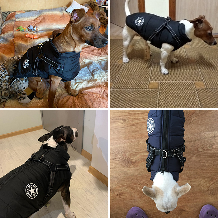 DogJacket, haină de iarnă reflectorizantă și impermeabilă pentru câini - Image 8