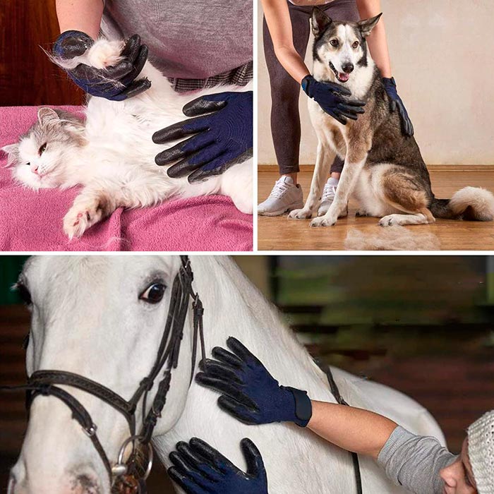 Pawly premium DUO, Ingrijire premium fara stres pentru tine si animal
