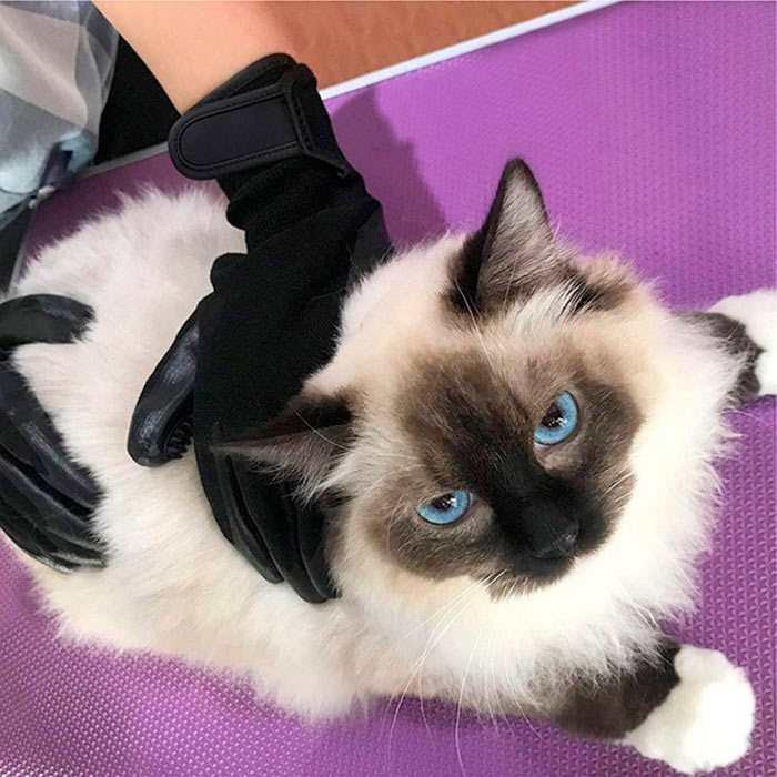 Pawly premium DUO, Ingrijire premium fara stres pentru tine si animal